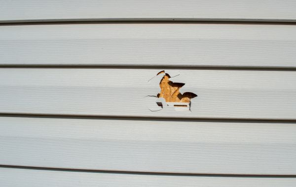 Cost of Siding Hole Patching in Portland